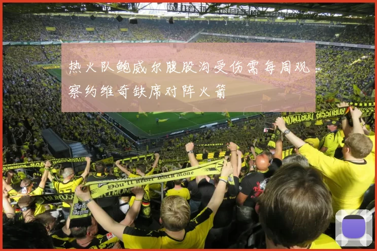 热火队鲍威尔腹股沟受伤需每周观察约维奇缺席对阵火箭