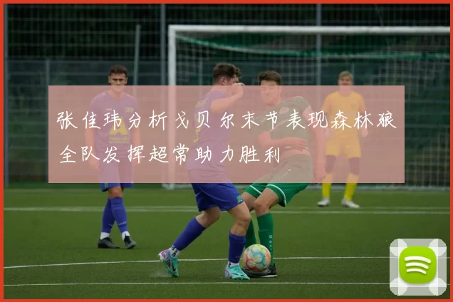 张佳玮分析戈贝尔末节表现森林狼全队发挥超常助力胜利